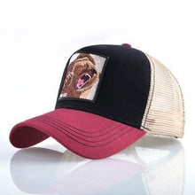 Load image into Gallery viewer, 8 Kinds of embroidery animal Baseball Caps